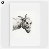 2-79_Jean-Bernard_picture