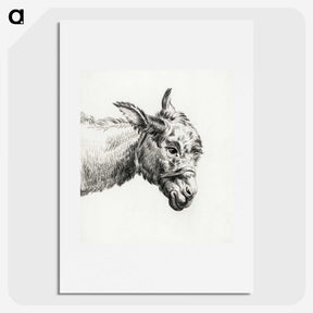 2-79_Jean-Bernard_picture