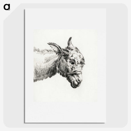 2-79_Jean-Bernard_picture