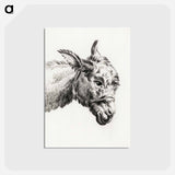 アートポストカード-Head of a donkey - ジャン ベルナール Postcard.