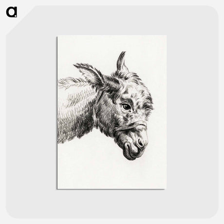 アートポストカード-Head of a donkey - ジャン ベルナール Postcard.