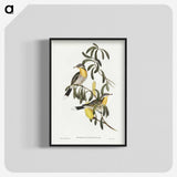 2-79_John-Gould_blk-crop