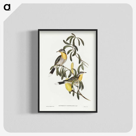 2-79_John-Gould_blk-crop