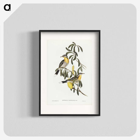 2-79_John-Gould_blk