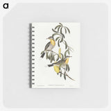 2-79_John-Gould_memo