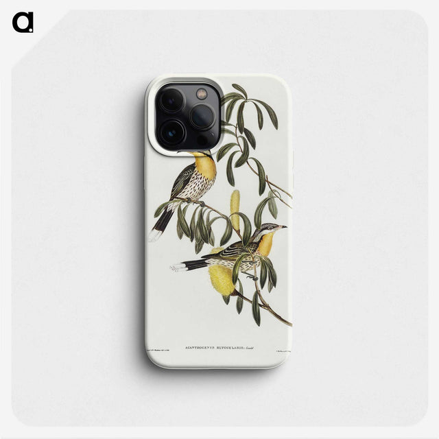 2-79_John-Gould_phone