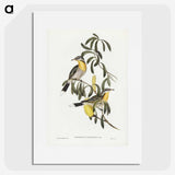 2-79_John-Gould_picture
