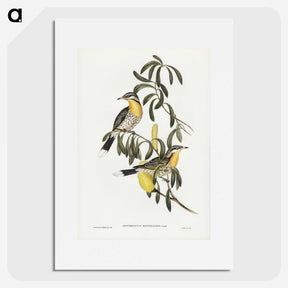 2-79_John-Gould_picture