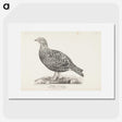 2-79_Magnus-von-Wright_picture