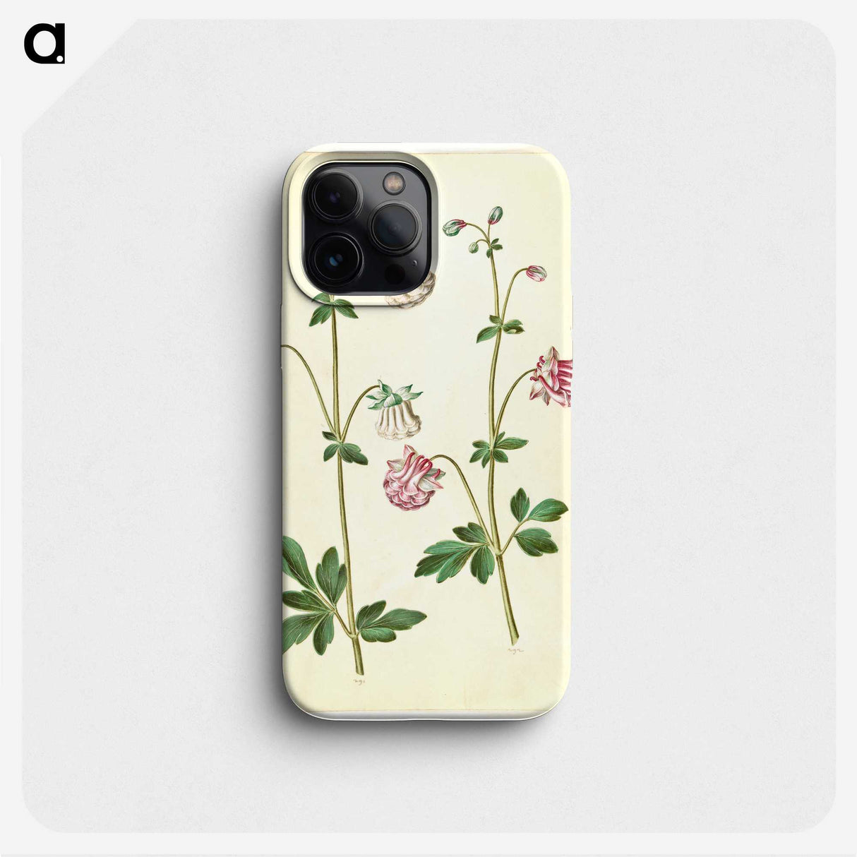 2-79_Maria-Sibylla-Merian_phone