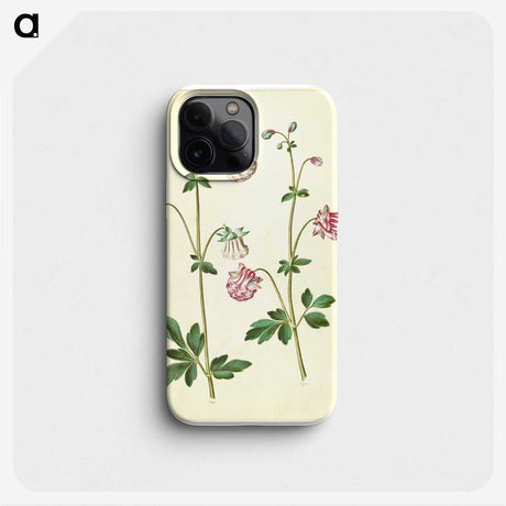 2-79_Maria-Sibylla-Merian_phone