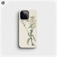 2-79_Mary-Vaux-Walcott_phone