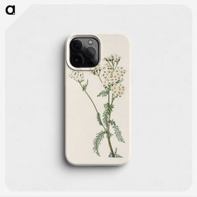 2-79_Mary-Vaux-Walcott_phone