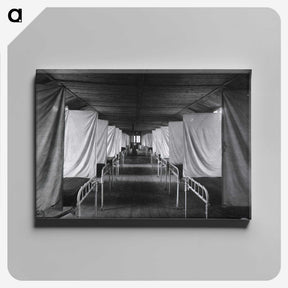 2-79_National-Library-of-Medicine_canvas