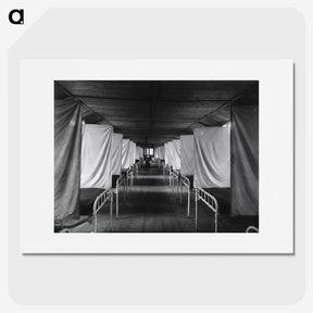 2-79_National-Library-of-Medicine_picture