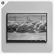 2-79_Russell-Lee_canvas