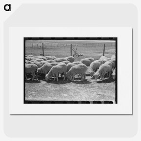 2-79_Russell-Lee_picture