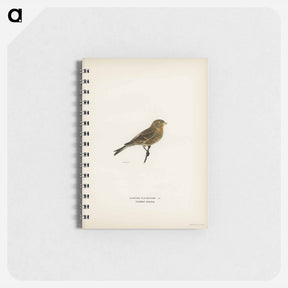 アートメモ帳-Twite
 - スヴェンスカ フォグラル Memo.