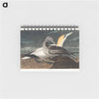 アートメモ帳-Gannet from Birds of America
 - アメリカの鳥たち Memo.