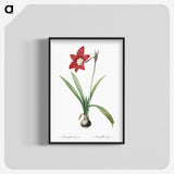 2-79_The-Lilies_blk-crop