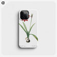 2-79_The-Lilies_phone