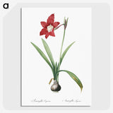 2-79_The-Lilies_picture-crop