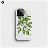 2-79_Treatise-on-Trees-and-Shrubs_phone