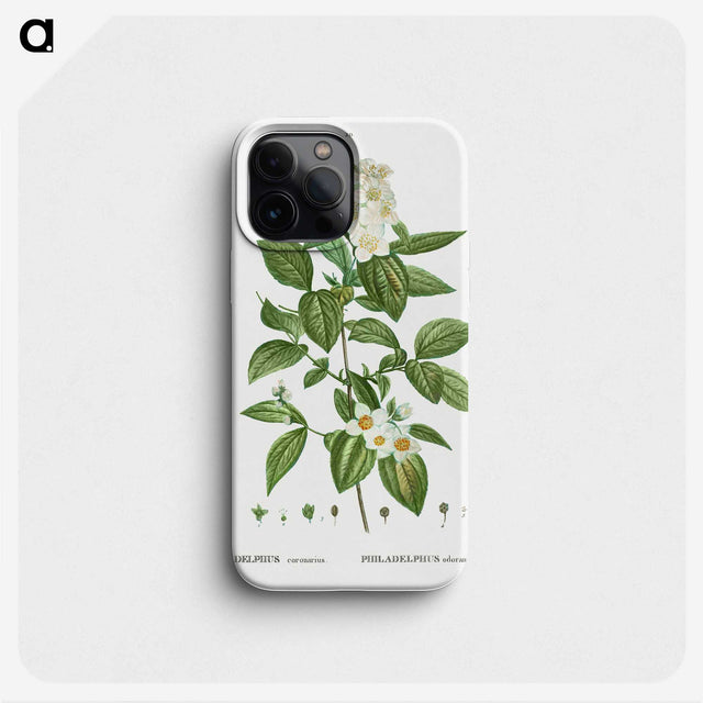 2-79_Treatise-on-Trees-and-Shrubs_phone