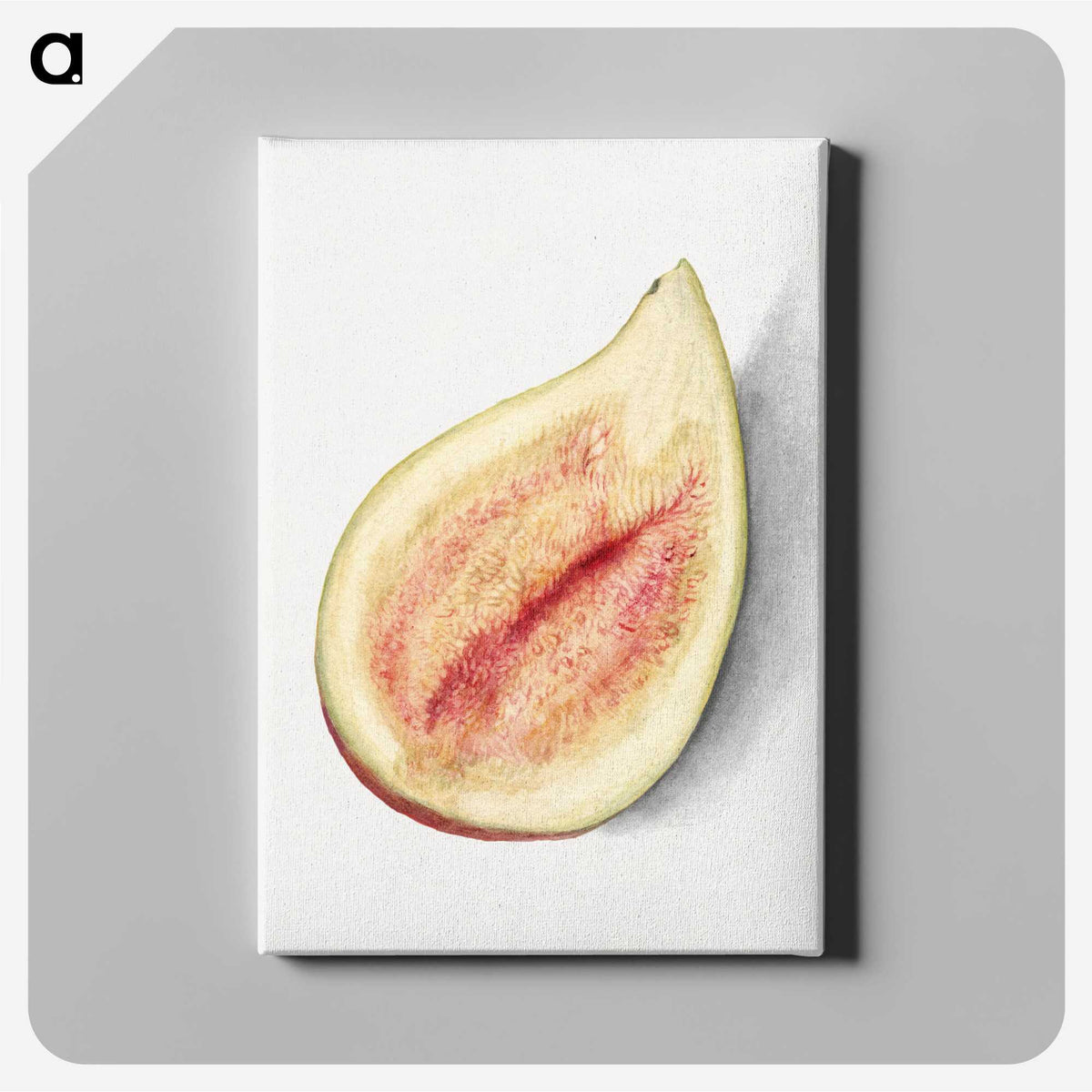 2-79_USDA-Watercolor-Fruit-Painting-Collection_canvas