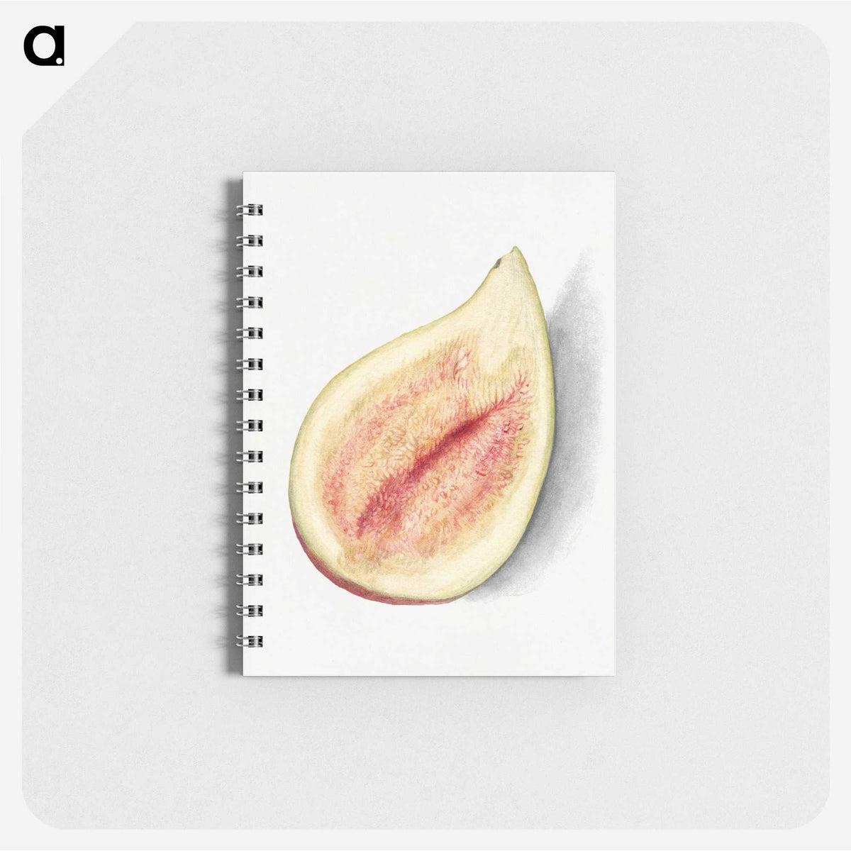 2-79_USDA-Watercolor-Fruit-Painting-Collection_memo