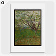 2-79_Vincent-van-Gogh_picture