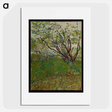 The Flowering Orchard - Vincent van Gogh Poster.