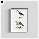 2-79_Zoology-of-New-York_blk-crop