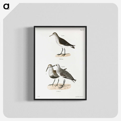 2-79_Zoology-of-New-York_blk-crop