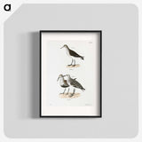 2-79_Zoology-of-New-York_blk