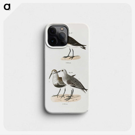 2-79_Zoology-of-New-York_phone