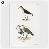 2-79_Zoology-of-New-York_picture-crop