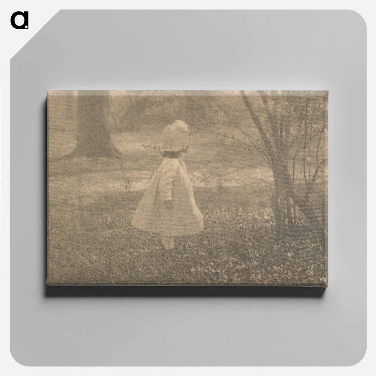 Spring - アルフレッド スティーグリッツ Canvas.