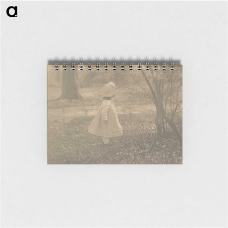 2-7_Alfred-Stieglitz_memo