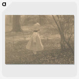 2-7_Alfred-Stieglitz_picture-crop