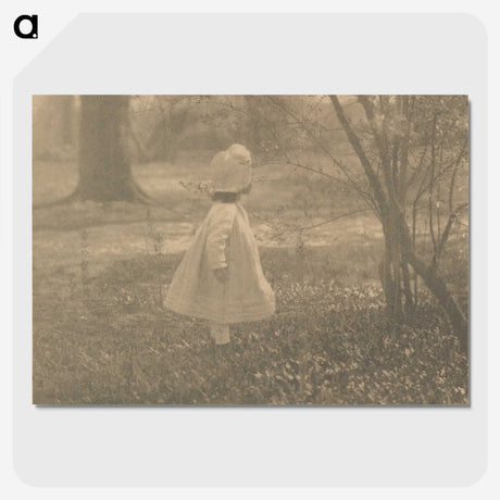 2-7_Alfred-Stieglitz_picture-crop