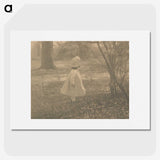 2-7_Alfred-Stieglitz_picture