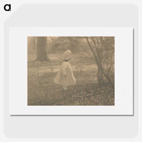 2-7_Alfred-Stieglitz_picture