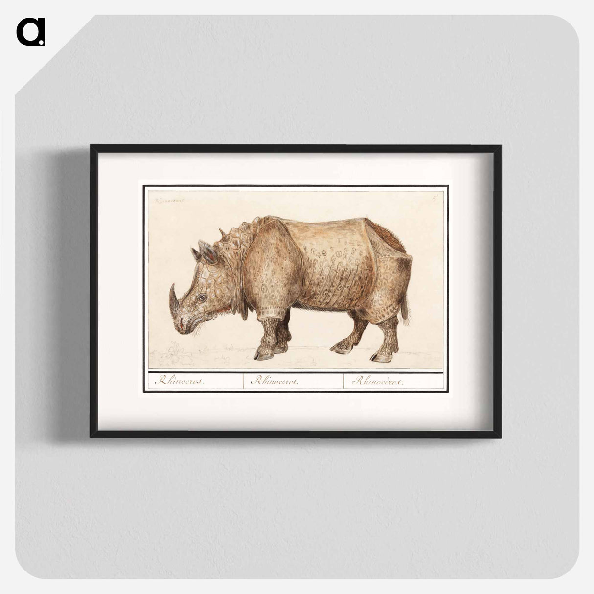 Indian rhinoceros - アンセルムス ボエティウス デ ブート Poster.