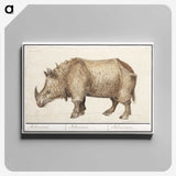 2-7_Anselmus-Boetius-de-Boodt_canvas
