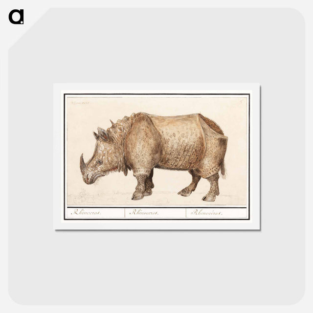 アートポストカード-Indian rhinoceros - アンセルムス ボエティウス デ ブート Postcard.
