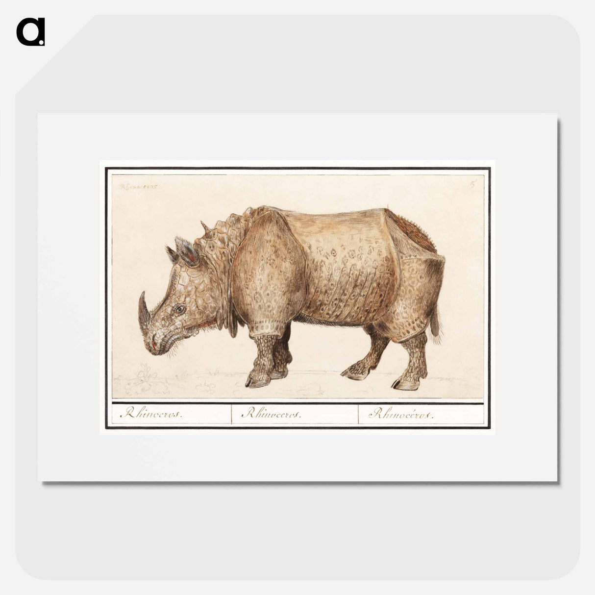 Indian rhinoceros - アンセルムス ボエティウス デ ブート Poster.