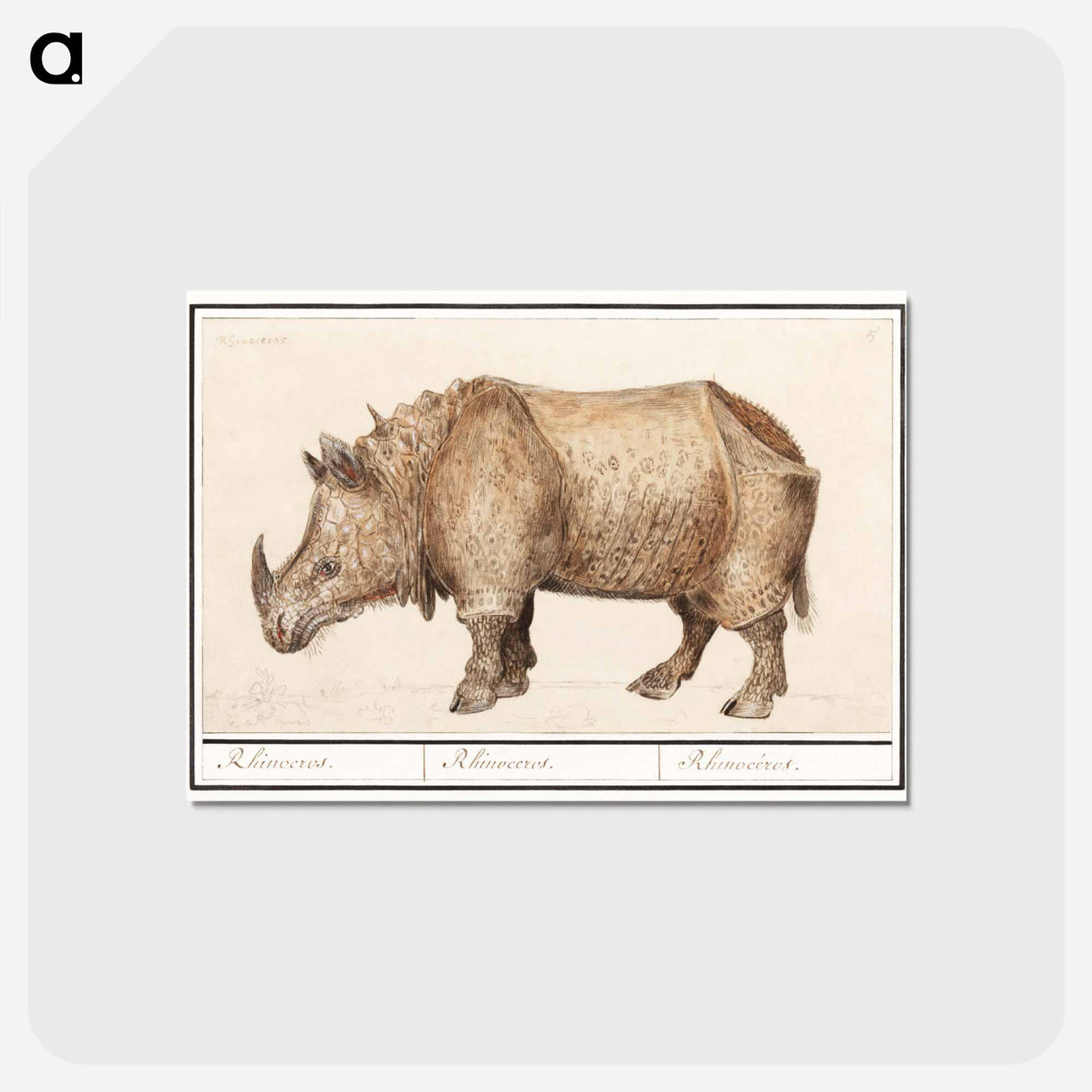 アートポストカード-Indian rhinoceros - アンセルムス ボエティウス デ ブート Postcard.