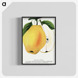 2-7_Botanical-Specimen-Plates_blk-crop