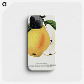 2-7_Botanical-Specimen-Plates_phone